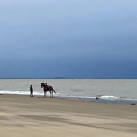 Comfortable With Heated Swimming Pool And Jacuzzi Open Year Round 3* Les Mathes