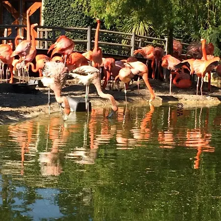 Comfortable With Heated Swimming Pool And Jacuzzi Open Year Round