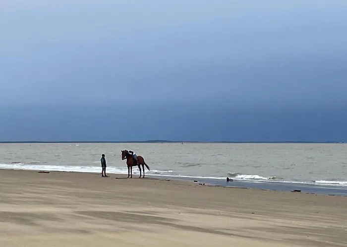 Comfortable With Heated Swimming Pool And Jacuzzi Open Year Round 3* Les Mathes