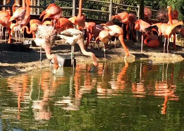 Comfortable With Heated Swimming Pool And Jacuzzi Open Year Round