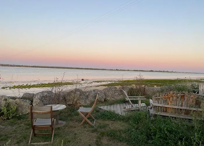 Comfortable With Heated Swimming Pool And Jacuzzi Open Year Round Guest house Les Mathes